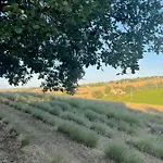 La Ca Dal Non - Bioagriturismo * Savignano sul Panaro