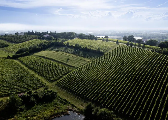 La Ca Dal Non - Bioagriturismo Farma Savignano sul Panaro