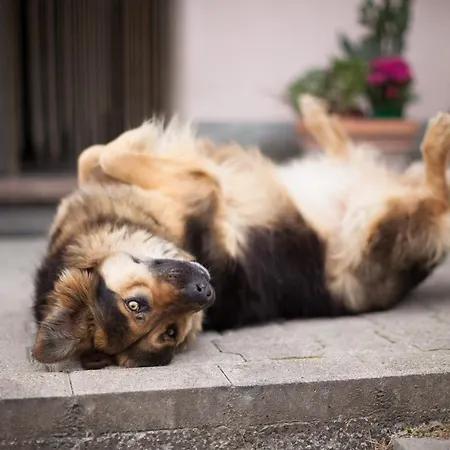 La Ca Dal Non Bioagriturismo - Alpenice * Savignano sul Panaro