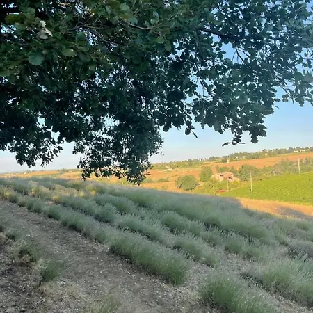 La Ca Dal Non Bioagriturismo - Alpenice * Savignano sul Panaro