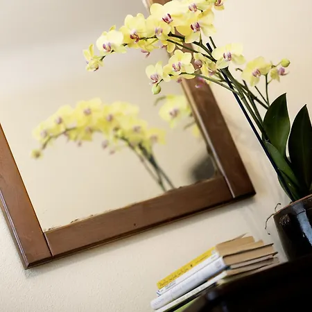 La Ca Dal Non Bioagriturismo - Alpenice Séjour à la ferme Savignano sul Panaro