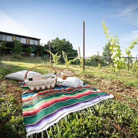 Séjour à la ferme La Ca Dal Non Bioagriturismo - Alpenice
