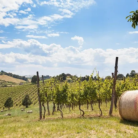La Ca Dal Non - Bioagriturismo 农家乐