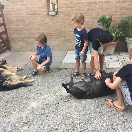 La Ca Dal Non Bioagriturismo - Alpenice