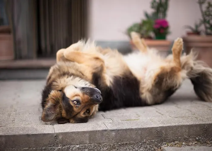 La Ca Dal Non - Bioagriturismo * Savignano sul Panaro