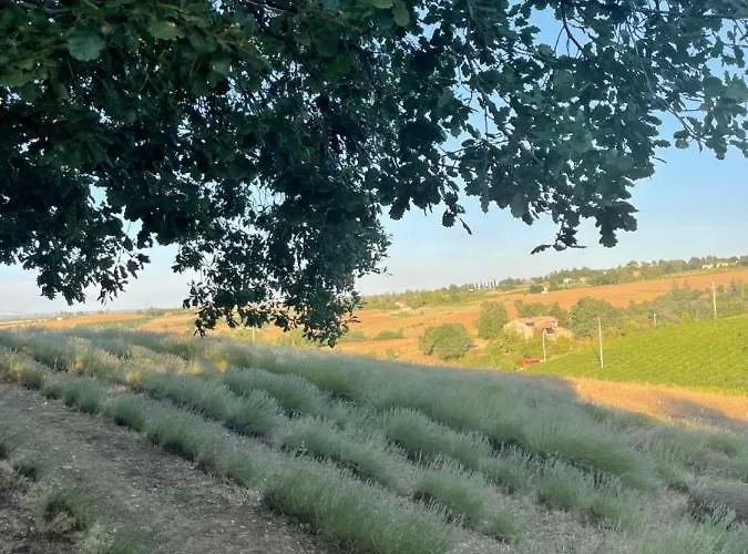 La Ca Dal Non - Bioagriturismo * Savignano sul Panaro