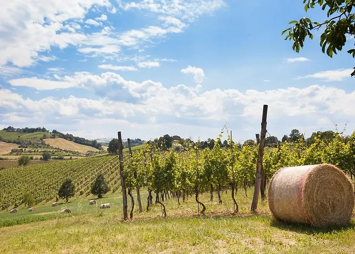La Ca Dal Non - Bioagriturismo Feriegård